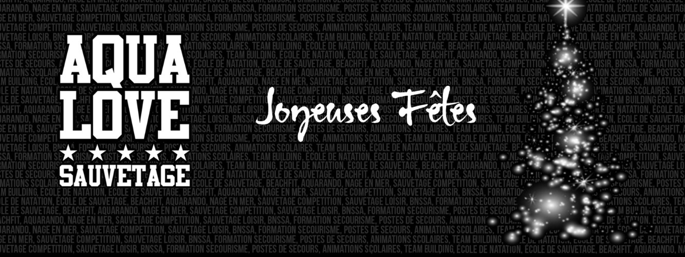 Joyeuses Fêtes